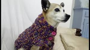 This quick knit headband will be on and off your #7. Easy Crochet Dog Sweater Any Size Tutorial Youtube