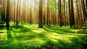 Number 1 wallpaper in the world. Top 10 Wallpapers In The World Group 66