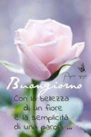 Il Mio Buongiorno Come L Astro Del Mattino Mi Da Il Buongiorno Cosi Io Do Il Buongiorno Alla Mia Stella Un Bacio Ed U Italian Quotes Good Morning Best Quotes