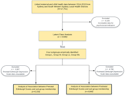 Learning objectives postpartum depression 1. The Edinburgh Postnatal Depression Scale Validation For An Australian Sample