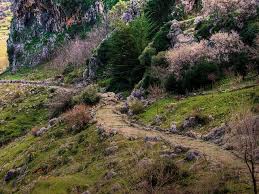 Calzada Romana Andalucia Spain Hiking Routes