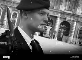 Stan Black and White Stock Photos & Images