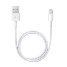 Lightning To Usb Cable 0 5 M Apple Store U S Iphone Charger Iphone Cable Iphone Accessories