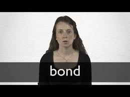 Intuitive rapid interface for professionals and private investors. Bond Definition And Meaning Collins English Dictionary