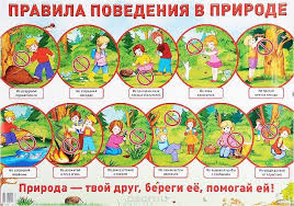 рисунки на тему что такое хорошо что такое плохо Kartinki Po Zaprosu Interaktivnaya Doska Dlya Doshkolnikov Chto Horosho Chto Ploho V Prirode Craft Activities For Kids Science Activities Education