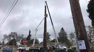 Timberline tree service offers diagnosing, recommendations, tree removals, stump grinding/removal, tree trimming, tree cabling, crane services, emergency tree removal services, storm damaged tree service, and fallen tree clean up. Timberline Tree Service Inc Home Facebook