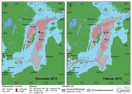 oxygen arrived at the bottom of the central baltic sea