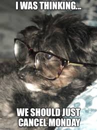 Smart Puppy Wearing Glasses Meme I Was Thinking We Should Just Cancel Monday Puppies Funny Animals Glasses Meme