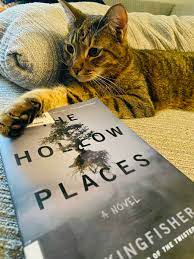 Thehollowplaces Twitter Search