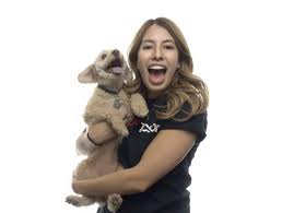 Image result for Christella chaseana