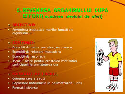 Ppt Lectia De Educatie Fizica Si Sport Prezentare Portofoliu Verigile Lectiei Powerpoint Presentation Id 5472885