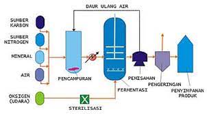 We did not find results for: Aplikasi Teknologi Fermentasi Pada Pembuatan Protein Sel Tunggal Mantramantramusafir