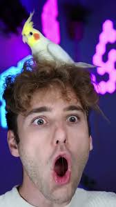 Juan Daniel Bergman Kanzler