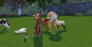 Extract the two files within the. Thekalino On Twitter I Tested The New Dog Size Slider By Pixelpfote Look At This Larger Cows Such An Amazing Work The Goat And Sheeps Have The Orginal Dog Size Download Here