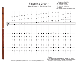 Fingering Charts For Keyless D Flutes Martin Doyle Flutes