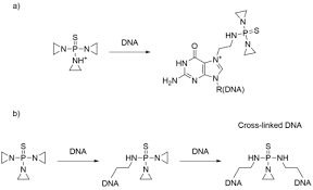 Image result for Thiotepa