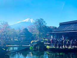 Mt Fuji Hakone And Day Trips From Tokyo Hatobus