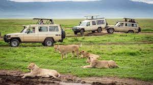 Kubwa Five Safaris - Kampala - Safarigo