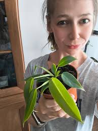 Little holiday plant haul today 😁🪴