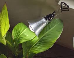 Maybe you would like to learn more about one of these? Miracle Led Clamp Lamp Grow Light Socket Adjustable E26 Bulb 7 1 2 In Arm Length Lamp Included No 655z06 602222 Grainger