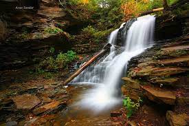 Shawnee Falls Ricketts Glen State Park State Parks Blackwater Falls Scenic
