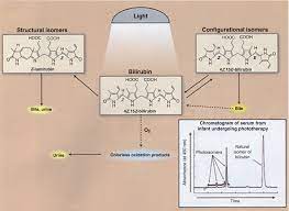 Skylife™ provides efficient and effective neonatal phototherapy treatment for jaundice. Treatment Of Hyperbilirubinemia In Newborns Springerlink
