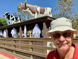 This day last year My very own San Juan Capistrano, they're here again  Eureka