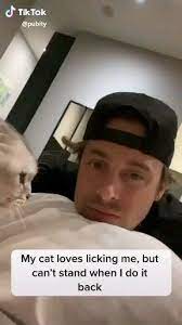Tik Tok Video In 2020 Funny Animal Videos Cat Memes Animal Memes