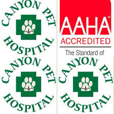 1054 east old canyon court flagstaff, az 86001. Canyon Pet Hospital Home Facebook