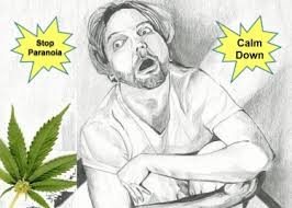 Maybe you would like to learn more about one of these? 4 Ways To Stop Weed Paranoia If You Are High And Freaking Out