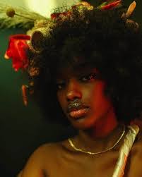 Iris Wade's Instagram, Twitter & Facebook