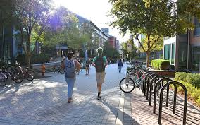 writing a personal statement for a phd