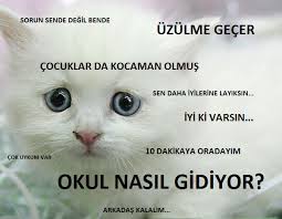 Gunluk Hayatimiza Aglarini Ormus Siradanliklarla Ilgili 7 Sey Listelist Com