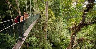 Tunku abdul rahman national park 5. 7 Malaysia National Parks Taman Negara Breathtaking Natural Places