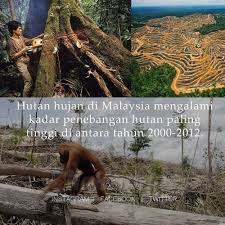 Penebangan hutan di malaysia penebangan hutan dapat didefinisikan sebagai pengurangan kawasan yang diliputi hutan asal dalam jangka masa panjang (ooi, 1993). Nak Fakta On Twitter Hutan Hujan Di Malaysia Mengalami Kadar Penebangan Yang Tinggi Antara Tahun 2000 2012 Nakfakta Nakbebel