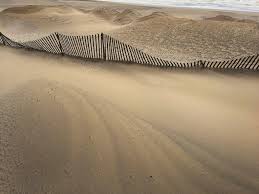 Sandy neither habitat nor its agents, contractors, directors, employees, officers, volunteers or other representatives shall have any liability or responsibility for any. Coastal Habitat For Humanity And Boys Girls Clubs Of Monmouth County To Team Up Centraljersey Com