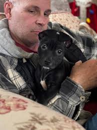 I will not foster fail again . I will not foster fail again. I will not  foster fail again ….