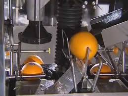 Aug 02, 2020 · carrot orange lime juice from darn good veggies. Santos Automatic Orange Juicer Youtube