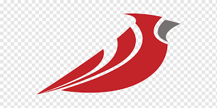The arizona cardinals are a professional american football team based in the phoenix metropolitan area. Bird Arizona Cardinals St Louis Cardinals Logo Northern Cardinal Turkey Bird Animals Computer Wallpaper Cardinal Png Pngwing