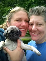 Our Nancy Nelson is 10 today!! She is our first momma! She will celebrate  in her own special way: naps & treats. She certainly has made some  beautiful puppies! ❤️❤️