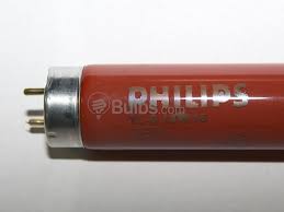 Cfl bulbs (compact fluorescent light): Philips 18 Watt 24 Inch T8 Red Fluorescent Bulb Tld18w 15 Red Bulbs Com
