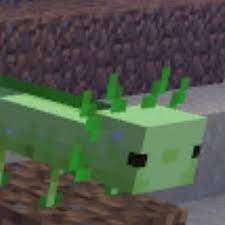 Please do not repost, i worked hard on this. Green Axolotl Reviveruby Aksolotol Twitter