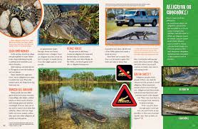 Alligators and crocodiles both have a blind spot right in front of. The Amazing Alligator Nwf Ranger Rick