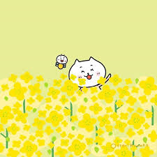 おっとりくまこさんはinstagramを利用しています 菜の花が満開だよ おっとりくまこ くまことコハチ 癒し illust illustration ほっこり イラスト イラストレーション くま イラストレーター イラストグラム pikachu character art