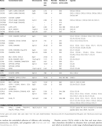 Human Chemokine Receptor Genes Download Table