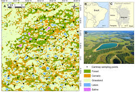 By pursuing an avowedly international approach, the plan has become one of the sector's most widely circulated and read magazines, not just in italy but in over sixty nations around the world. Habitat Quality Not Habitat Amount Drives Mammalian Habitat Use In The Brazilian Pantanal Springerlink