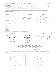 There are three types of nuclear reactions: Pogil Activities For Ap Chemistry Fractional Precipitation Answers Pogil Activities For Ap Chemistry Free Energy Answer Key