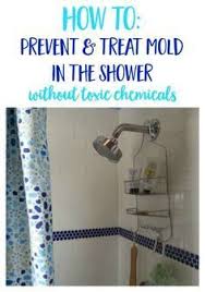 How To Prevent And Treat Mold In The Shower Home Remedies Diy Cleaning Bathroom Mold In Bathroom Cleaning Mold Diy Cleaning Products Recipes