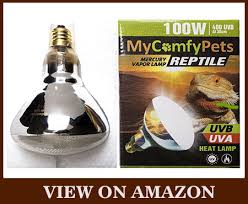 10 Best Heat Lamps For Bearded Dragon Buyer S Guide