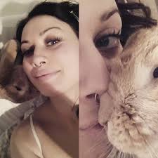 Rabbits bump noses to measure environment